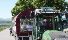 Planwagenfahrt durch die Weinberge in Rheinhessen