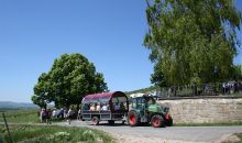 Planwagenfahrt durch die Weinberge in Rheinhessen