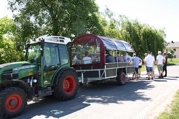 Planwagenfahrt durch die Weinberge
